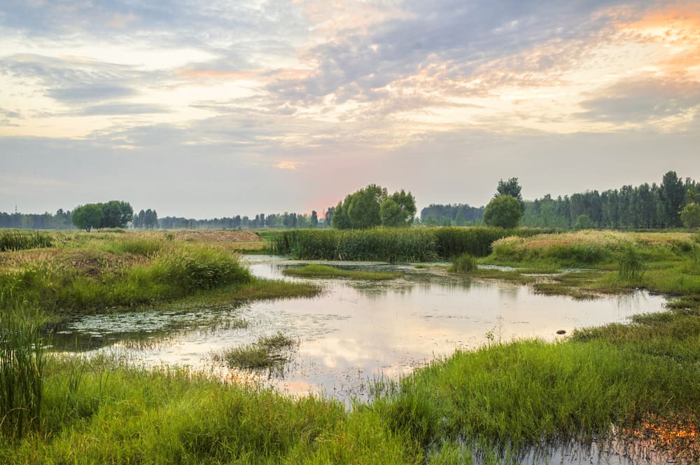 Environmental & Regulatory Services | Brochure | Colawood