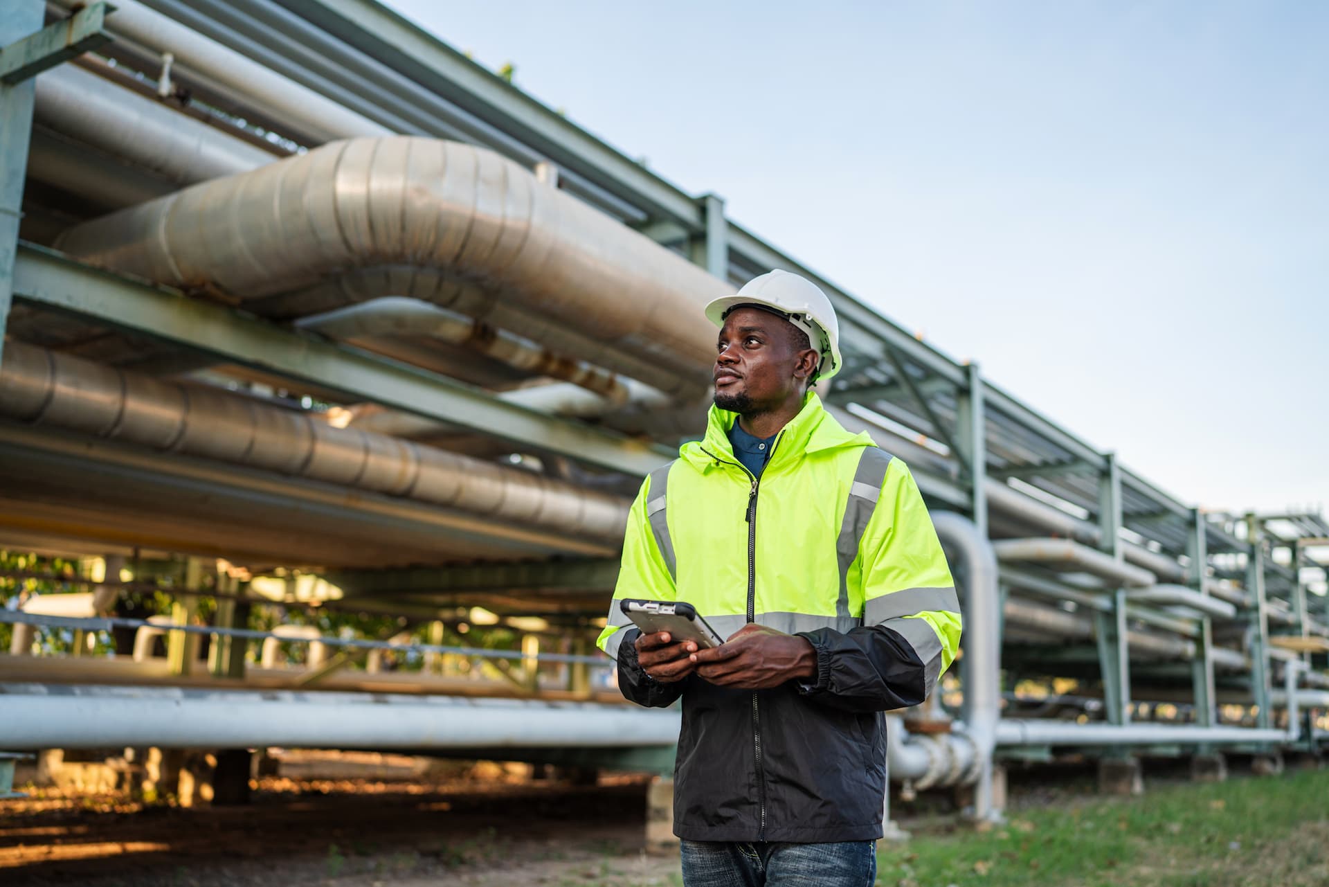 Procurement | Services | Colawood