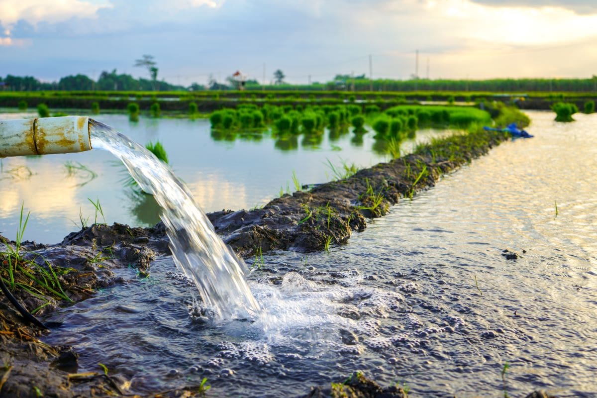 Water + Wastewater