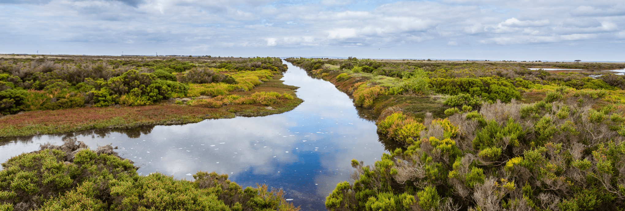 Environmental Consulting + Regulatory Services | Colawood